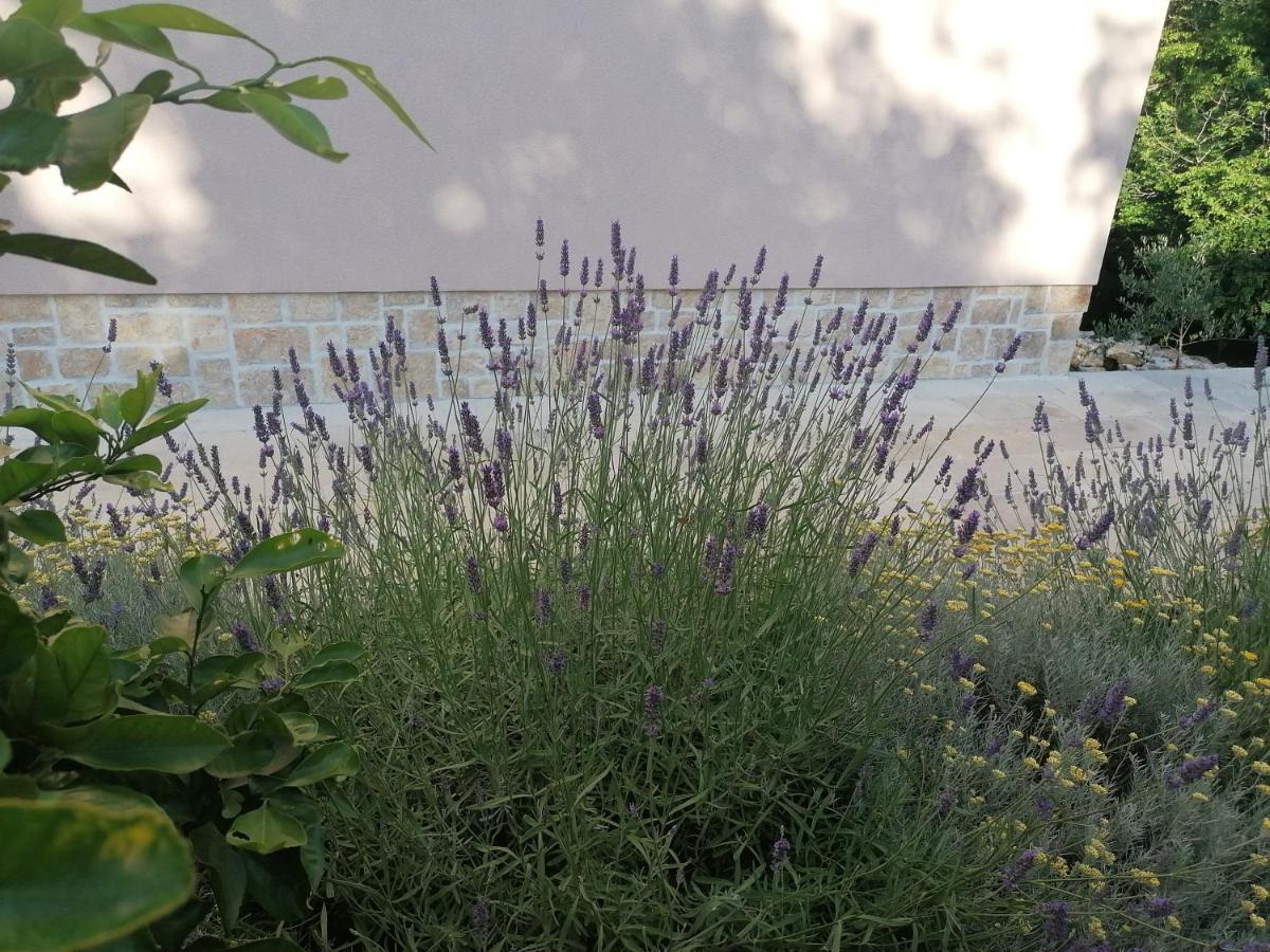 Amazing 4 Bedroom Villa With Swimming Pool And Wifi, Family Frendly 트리발즈 외부 사진
