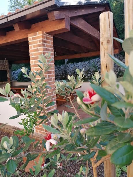 Amazing 4 Bedroom Villa With Swimming Pool And Wifi, Family Frendly 트리발즈 외부 사진